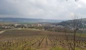 Excursión Senderismo Château-Thierry - Les vignes Castelle du 25-03-2021 - Photo 2