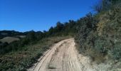 Trail On foot Borgo Tossignano - Alta Via dei Parchi: Tappa 15 - Photo 9