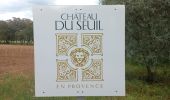 Tour Wandern Aix-en-Provence - Château du Seuil - Photo 1