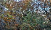 Randonnée Marche Sournia - sournia arbre remarquable - Photo 10