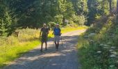 Tour Wandern Großmenglatt - Rando des Marcheurs du 7 Août 2025..Grosmagny - Photo 19