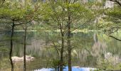 Tocht Stappen Feldberg - Feldsee & Feldberg - Photo 16