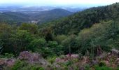 Tour Wandern Sentheim - Sentheim Rossberg - Photo 18