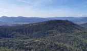 Trail Walking Brignoles - l'Amarron - Photo 8