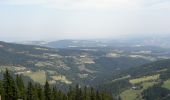 Tour Zu Fuß Gemeinde Aspangberg-St.Peter - Bleu - Photo 4