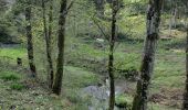 Trail Walking Houyet - Ciergnon lente 2024 - Photo 2