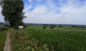 Excursión Bici de montaña Esneux - vtt electrique  - Photo 2