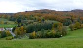 Trail On foot Fischbachtal - Verbindungsweg 