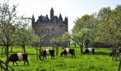 Tocht Te voet Lingewaard - Wandelroute Kasteelroute Doornenburg - Photo 8