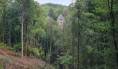 Tocht Stappen Waimes - Robertville - Panorama de la Warche - Photo 1