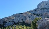 Trail Walking Saint-Antonin-sur-Bayon - 13-st_antonin_bayon_8km330m - Photo 10