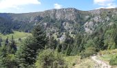 Excursión Senderismo Le Valtin - Lac Vert - Lac du Forlet - Gazon du Faing - Photo 9