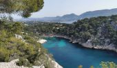 Tocht Stappen Cassis - Calanques de Cassis - Photo 12