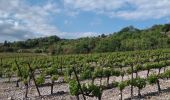 Excursión Senderismo Pégairolles-de-l'Escalette - pegairolles Larzac  - Photo 15