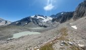 Randonnée Marche Pralognan-la-Vanoise - Col du soufre et bas du glacier de Gébroulaz - Photo 1