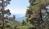 Randonnée Marche Puy-Saint-Eusèbe - canal de reyssas jusqu'aux Touisses / retour par le GR Serre-Ponçon via ravin de la pisse  - Photo 17