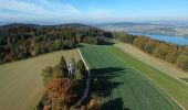 Excursión A pie Leutwil - Homberg - Wampfle - Photo 4