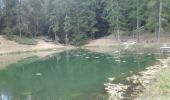 Trail Walking Crots - boucle du lac de Lauzerot via Les Gendres . cabane à Jules . clôt Besson . lac . les Gendres - Photo 8