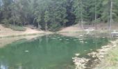 Tocht Stappen Crots - boucle du lac de Lauzerot via Les Gendres . cabane à Jules . clôt Besson . lac . les Gendres - Photo 8