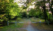 Trail Walking Compiègne - en forêt de Compiègne_31_les Tournantes du Grand Parc et du Mont du Tremble - Photo 10