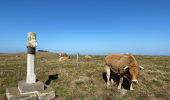 Percorso Marcia Saint Geniez d'Olt et d'Aubrac - Les Vergnes Mailhebiau Tourbière  - Photo 7