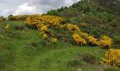 Trail Walking Vallées-d'Antraigues-Asperjoc - Entraigues  - Photo 3