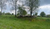 Trail Walking Florenville - 83.631 Muno -  Chassepierre   - Photo 13