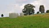 Trail On foot Stoumont - 8. Promenade du Rofthier - Photo 3