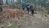 Trail Walking Fontainebleau - Avons 24 février 2023  - Photo 9