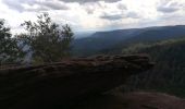 Trail Horseback riding Turquestein-Blancrupt - petit donon - Photo 1