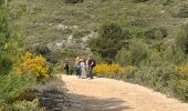 Tour Wandern Cuges-les-Pins - Le col de l’ange  - Photo 10