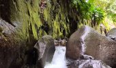 Tour Wandern Petit-Bourg - Guadeloupe - Canyon Moustique - Photo 2
