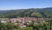 Tour Zu Fuß Saliceto - Große Durchquerung der Langhe - Photo 9