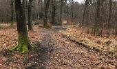 Trail Walking Nassogne - Nassogne Forêt St Hubert Nassogne  - Photo 9