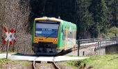 Tour Zu Fuß Spiegelau - RW Steinklamm - Photo 5