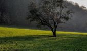 Randonnée A pied Durbuy - Chemin Touristique (20) - Photo 7