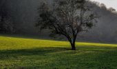 Tour Zu Fuß Durbuy - Chemin Touristique (20) - Photo 7