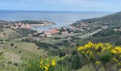 Tocht Stappen Port-Vendres - Port-Vendres - Photo 1