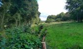 Tocht Stappen Putanges-le-Lac - de hameau en hameau - Photo 1