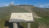 Trail Walking Plouharnel - PR_56_Plouharnel_CA_03_Entre-Baie-Et-Ocean_Circuit4a_20241025 - Photo 4