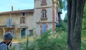 Tour Wandern Avignon - 2024-08-24 Barthelasse - grand  bosquet - Photo 2