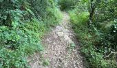 Trail Walking Durbuy - Bomal-Comblain au Pont/Rivage 33 km - Photo 3