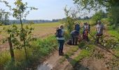 Tour Wandern Overijse - GS 2024_09 Terlanen - Photo 19