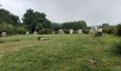 Trail Walking Plouharnel - dolmen de Crucuno - Photo 5