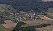 Tour Zu Fuß Liebenau - Liebenau Rundweg Li2 - Photo 1