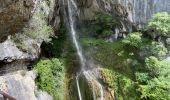 Trail On foot Gourdon - Gorges du loup - Photo 18