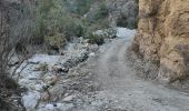 Trail Walking Frigiliana - Frigiliana Sierra Tejada - Photo 1