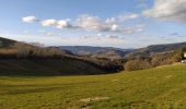 Tour Wandern Rivolet - St Cyr le chatoux - Photo 13