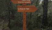 Trail Walking Peille - La Lourquiere au départ de la gare de Grave de Peille - Photo 3