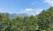 Tour Wandern Miazzina - 18.06.2023 - Miazzina - Le Lac Majeur et ses alpages - Photo 19